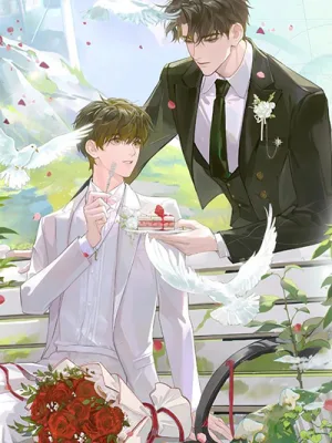 Ảnh bìa của Sao Cậu Vẫn Chưa Thích Tôi