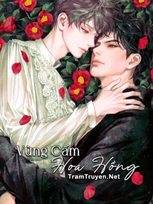 Ảnh bìa của Vùng Cấm Hoa Hồng – Thiên Phi