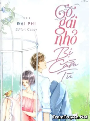 Ảnh bìa của Cô Gái Nhỏ Bị Cầm Tù – Đại Phi