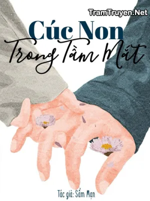 Ảnh bìa của Cúc Non Trong Tầm Mắt – Sầm Mạn