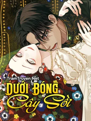 Ảnh bìa của Dưới Bóng Cây Sồi – Kim Sooji