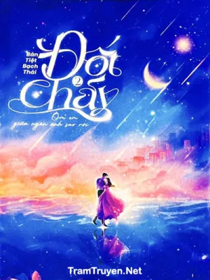 Ảnh bìa của Đốt Cháy