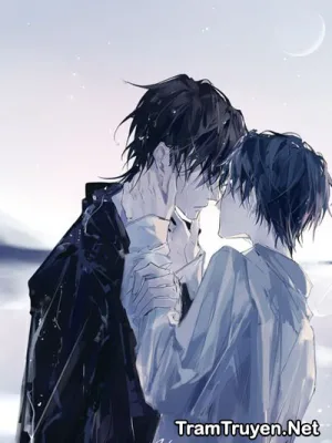 Ảnh bìa của Tình Yêu Đương Phương Không Được Hồi Đáp