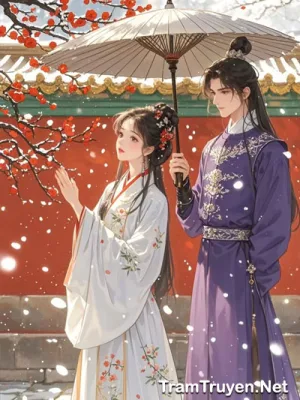 Ảnh bìa của Tuyết Phủ Cung Tâm – Thẩm Lục Vũ