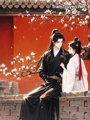 Ảnh bìa của Hàn Quân Chiếu Tình – Zhihu