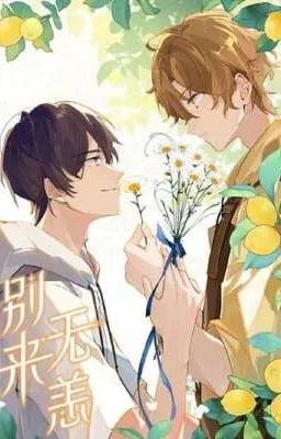 Ảnh bìa của Lâu Rồi Không Gặp – Bắc Nam