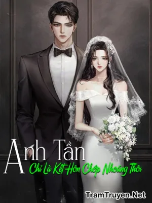 Ảnh bìa của Anh Tần, Chỉ Là Kết Hôn Chớp Nhoáng Thôi