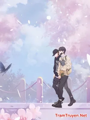 Ảnh bìa của Con Rể Văn Nam Chủ Xuống Tay Với Ta Rồi