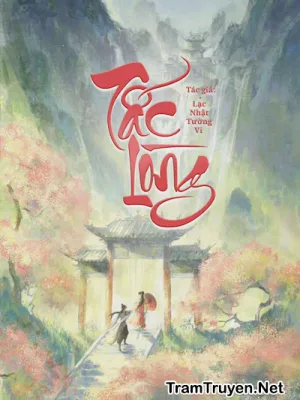 Ảnh bìa của Tấc Lòng – Lạc Nhật Tường Vi