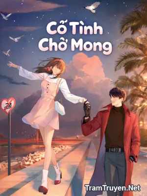 Ảnh bìa của Cố Tình Chờ Mong – Thời Kinh Kinh