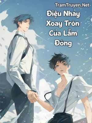 Ảnh bìa của Điệu Nhảy Xoay Tròn Của Lẫm Đông