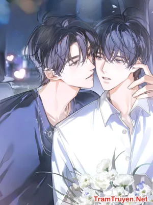 Ảnh bìa của Thụ Chính Bạch Liên Hoa OOC Rồi